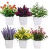 Artificial Potted Plants, Artificial River Dragon Plants, Potted Plants, Home Decoration, Office Decoration, Green Plants