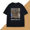 Queen Never Cry Meme TShirt Cotton Short Sleeve Funny Tshirts Meme T Shirts Silly Cat Humor Unisexs Clothes Oversized Streetwear