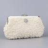2026 Trendy Pearl Banquet Bag: Bridal Clutch & Crossbody Handbag