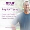 Now Foods Insektenvernichter, 118 ml (118 ml)