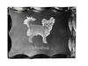 Chihuahua short-haired, smooth – Crystal with a picture of a dog, glass statuette with a picture | Art-Dog