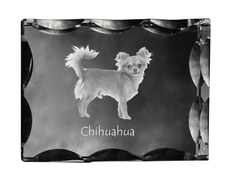 Chihuahua short-haired, smooth – Crystal with a picture of a dog, glass statuette with a picture | Art-Dog