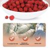 Fish Baits,Fishing Goods,Fresh Wet Granular Bait High Protein Fish Attractant Concentrated Fishing Lures Fishing Accessories