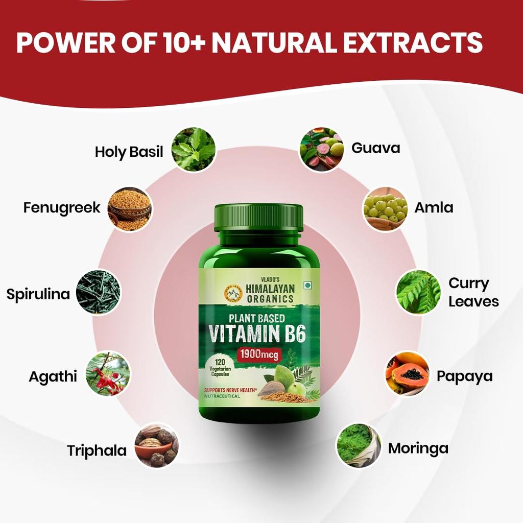 Vlado's Himalayan Organics Plant Based Vitamin B6 Capsules For Daily Wellness Energy Support And Brain Function 120 Capsules