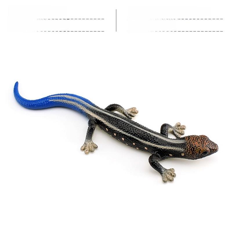 Phelsuma Pvc Replicas For Botanical Gardens And Nature Display Settings