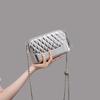 2025 Women's Summer Small Hobo Crossbody Bag with Silver and Gold Ball Chain