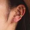 Stainless Steel Chain Tassel Earrings: Light Luxury Bean and Round Ball Studs, Versatile and Exquisite Ear Jewelry