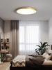 Gold Modern Minimalist Ultra-Thin Nordic LED Ceiling Light for Bedroom