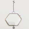 European Vintage Metal Glass Photo Frame: Antique Design for Pictures or Plant Specimens