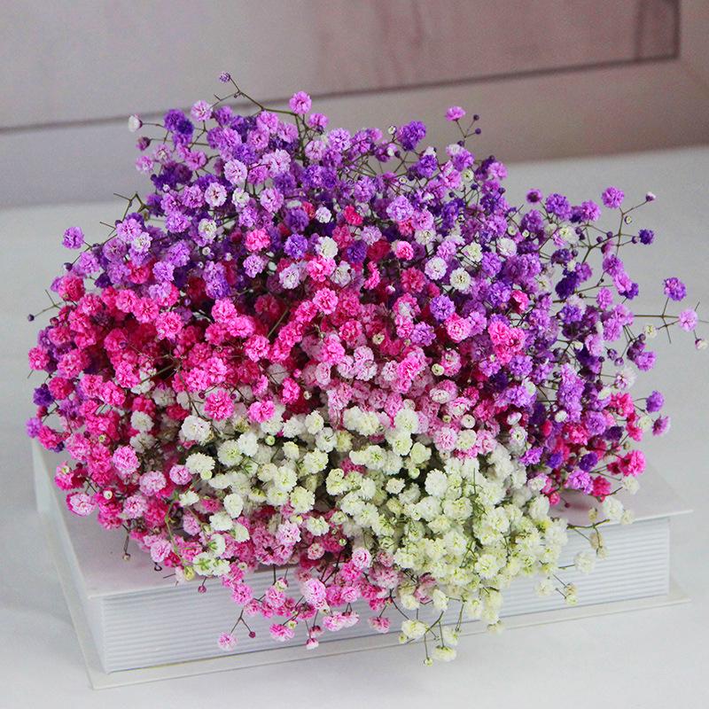 Baby's Breath Dried Flower Bouquet for Living Room Decor - Real Fresh Cut Flowers, Perfect for Gifting and Decorative Ornaments.