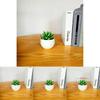 Simulated Succulent Bonsai Pot With Lightweight Pvc For Home Office Interior Design