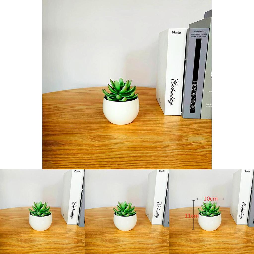Simulated Succulent Bonsai Pot With Lightweight Pvc For Home Office Interior Design