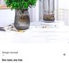 Hydroponic Fragrant Wood Indoor Plant | Insect & Mosquito Repellent | Evergreen Year-Round Desktop Decor
