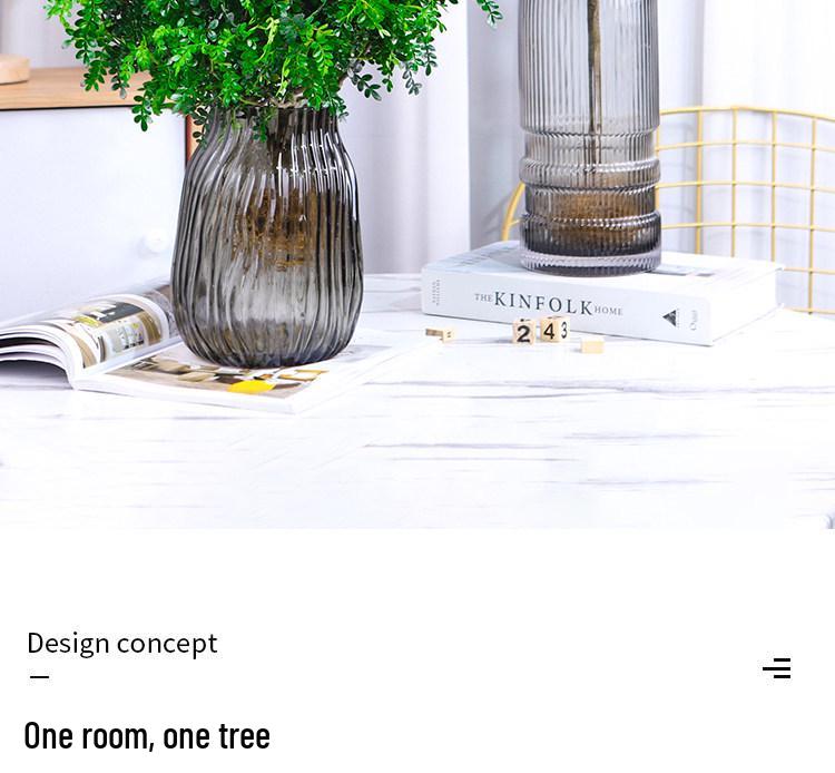 Hydroponic Fragrant Wood Indoor Plant | Insect & Mosquito Repellent | Evergreen Year-Round Desktop Decor