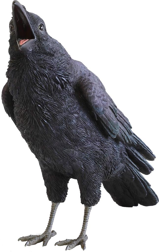 PET BANK DŽUNGLE CROW