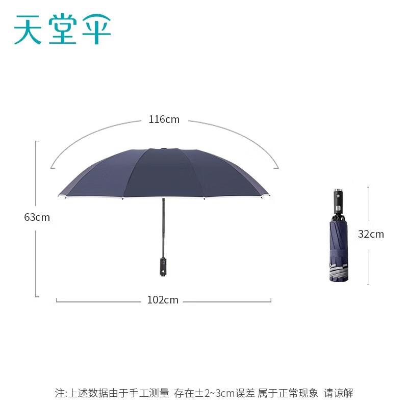 Paradise Automatic Windproof Compact Umbrella