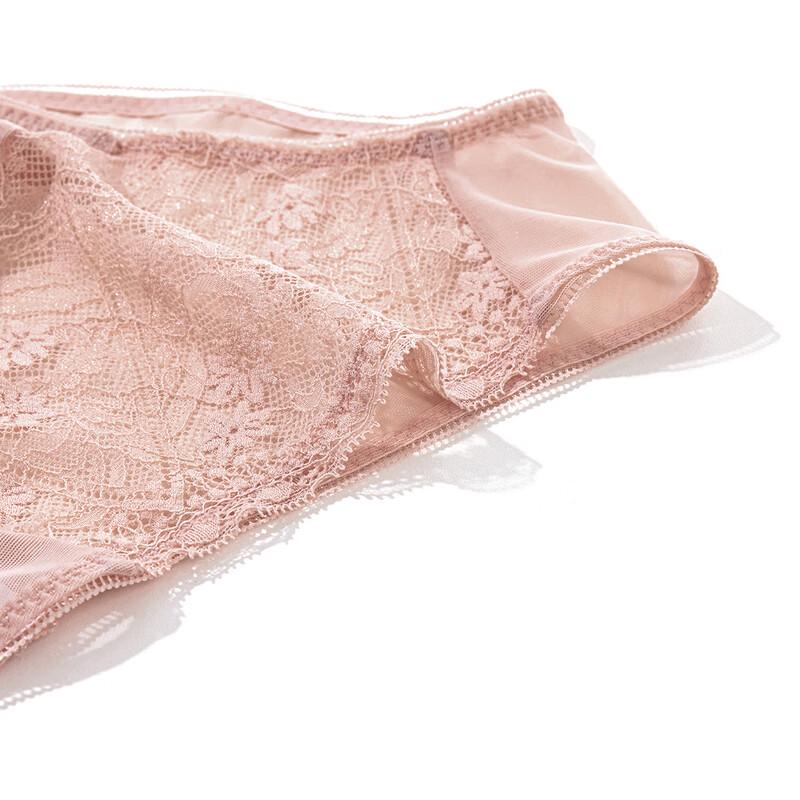 Aimer Women's Lace Mesh Cotton Crotch Low-Rise Underwear AM237721