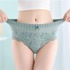 3-Pack Women's High Waist Cotton Lace Briefs Soft Seamless Underwear with Tummy Control