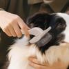 Dog Slicker Brush Pet Slicker Brush For Cats Dogs Loose Hair Removal Tool Shedding Comb With Wood Handle For Long Short Coat