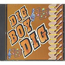 

CD VARIOUS Dig Boy Dig DIGIT100 Dig It Japan Rock Used