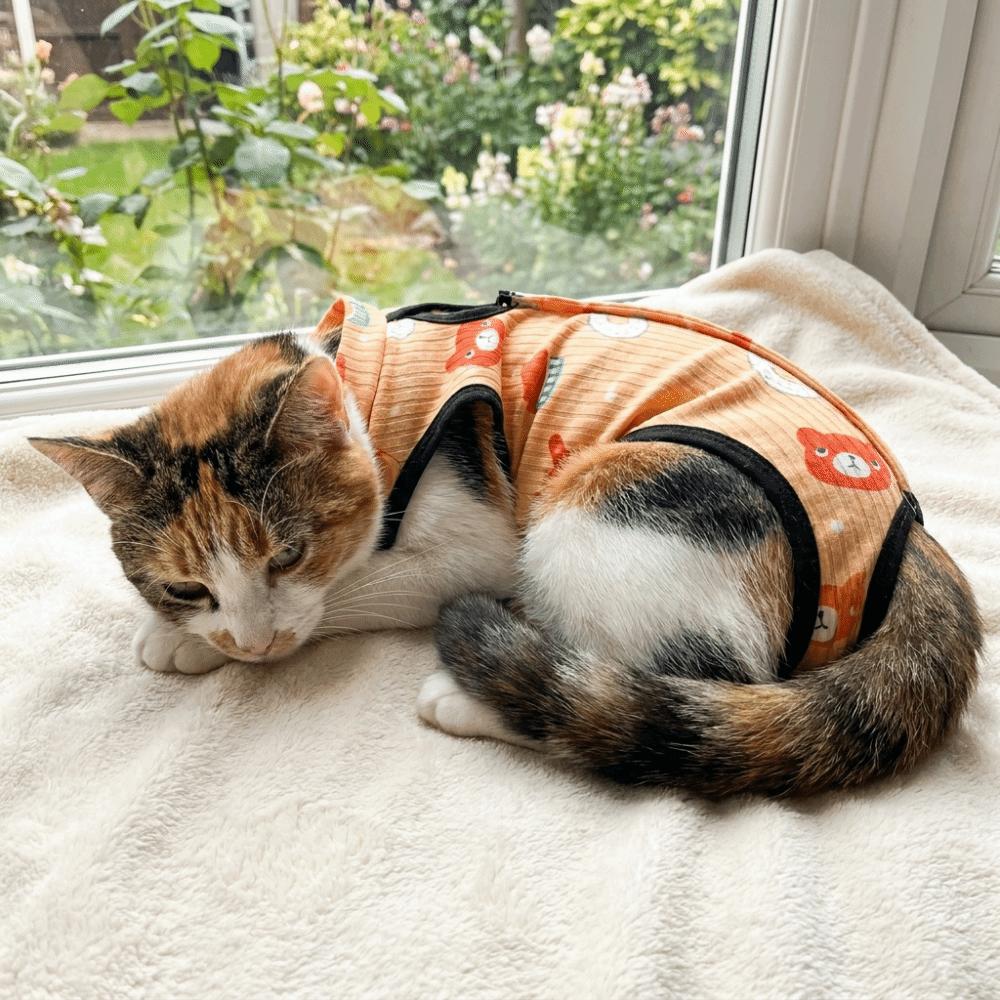 Adjustable Pet Recovery Suit Breathable High Elastic Cat Weaning Jumpsuit Soft Cotton Cartoon Pattern Cat Sterilization Clothes