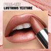 Pearlescent Lipstick Long Lasting Waterproof Pink Rosey Metallic Diamond Lip Stick Create Silky Charming Plump Bold Lip Makeup