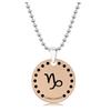 Rose Gold Stainless Steel Necklace with Twelve Constellations Engraved Round Tag - Christmas Holiday Gift