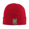 Anne Of Green Gables Warm Knitted Cap Winter Knit Bonnet Hat Skullies Beanies Hip Hop Caps for Unisex