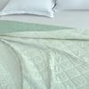 Mugwort Aromatic Antibacterial Summer Quilt