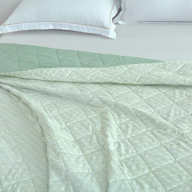 Mugwort Aromatic Antibacterial Summer Quilt