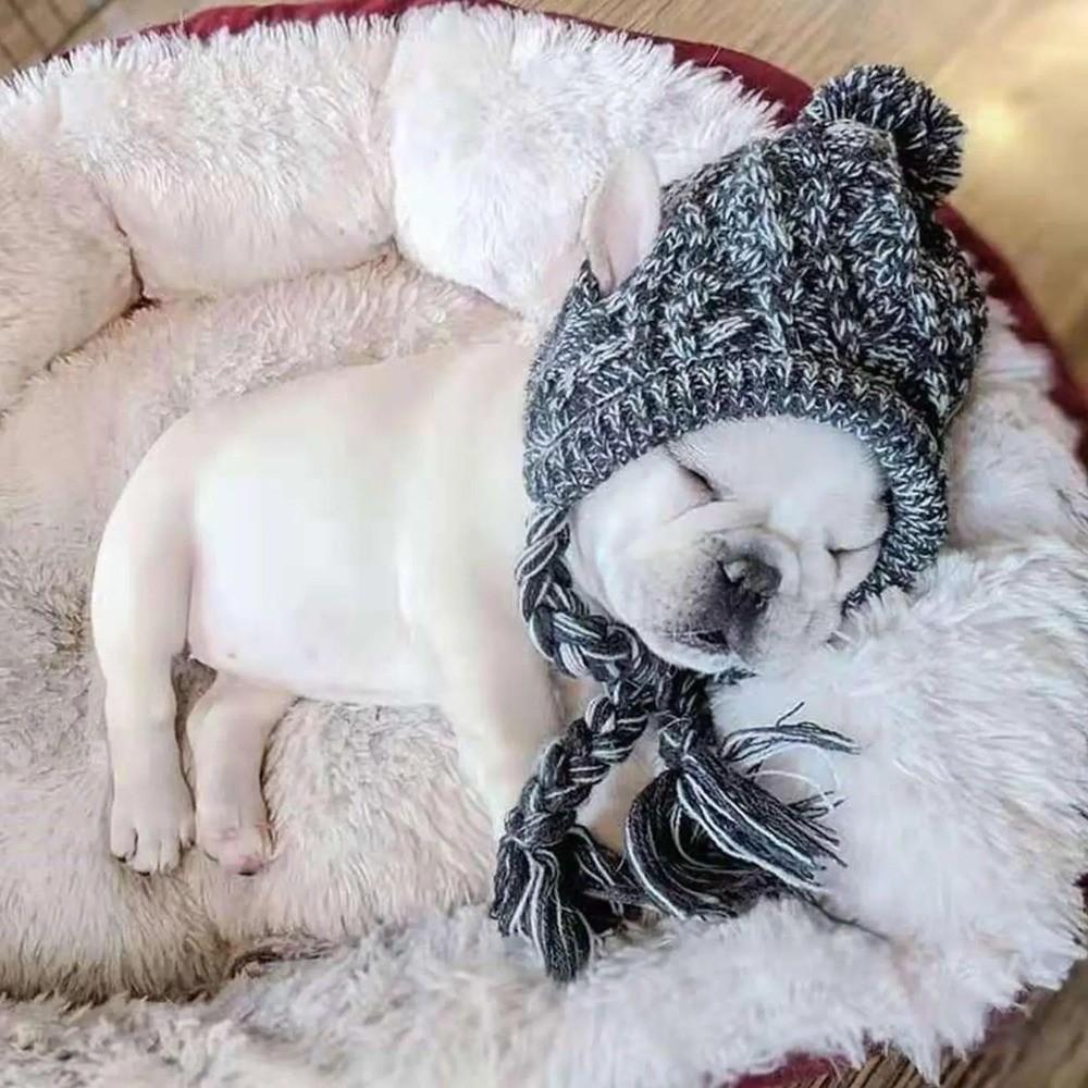 Nuovi Cappelli Caldi Invernali per Cani Cappello a Maglia per Bulldog Francese Palla Soffice Cappello per Animali Domestici Cappello per Chihuahua Accessori Antivento per Cuccioli per Cani