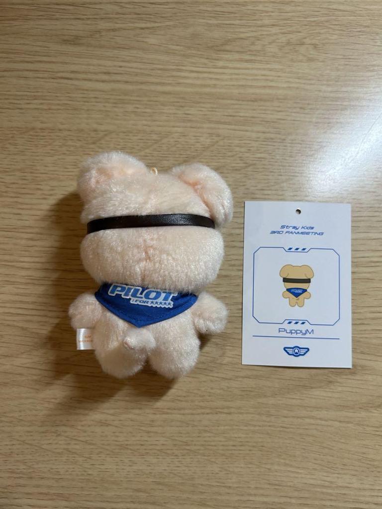 [USED] StrayKids Seungmin PuppyM Pilot Plush Toy