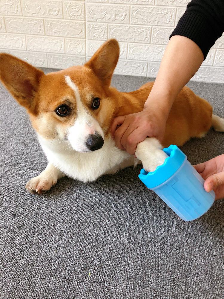 

Pet Paw Washer: Wave Pattern Silicone Massage Cup for Medium & Small Dogs Small Pink