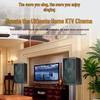 SANSUI PK101 Home KTV Audio System Set (CN version)
