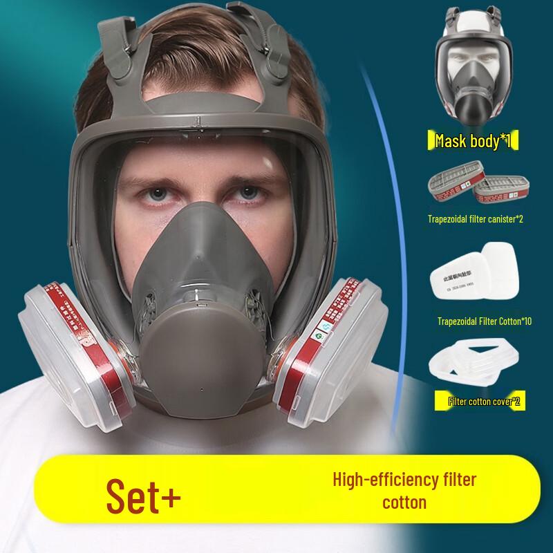 Longchan 6800 Full Face Respirator with Filters