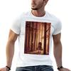 Threshold T-Shirt T Shirts for Man Slim Fit Cotton T Shirt Man T Shirts for Man Cotton Funny T-