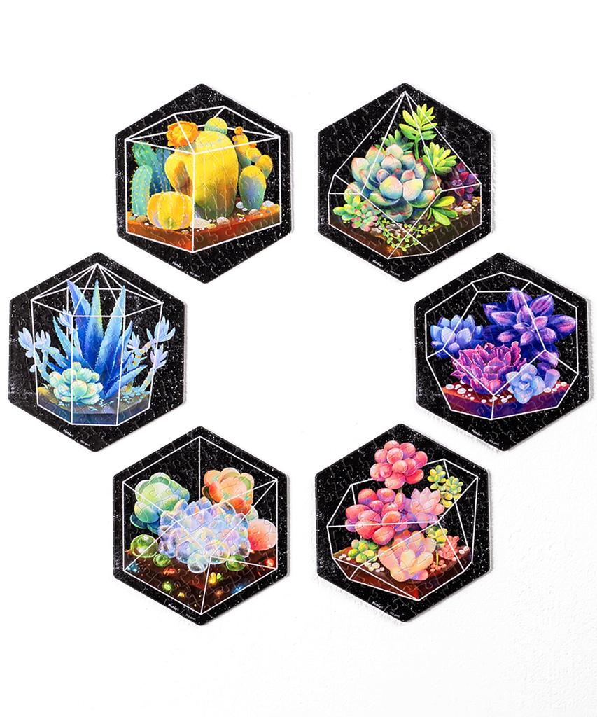 Pintoo 56 Piece Set of 6 Tile Puzzle Plastic Present Interior [Pocket Succulents] (13X15cm) [HX1163]