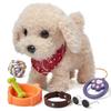 Cães – Brinquedos para cães