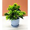 Kunstpflanzen Klein, Mini Künstliche Pflanzen Innen Für Zuhause Bauernhaus Badezimmer Regal Deko(Höhe : 17Cm,Blau)