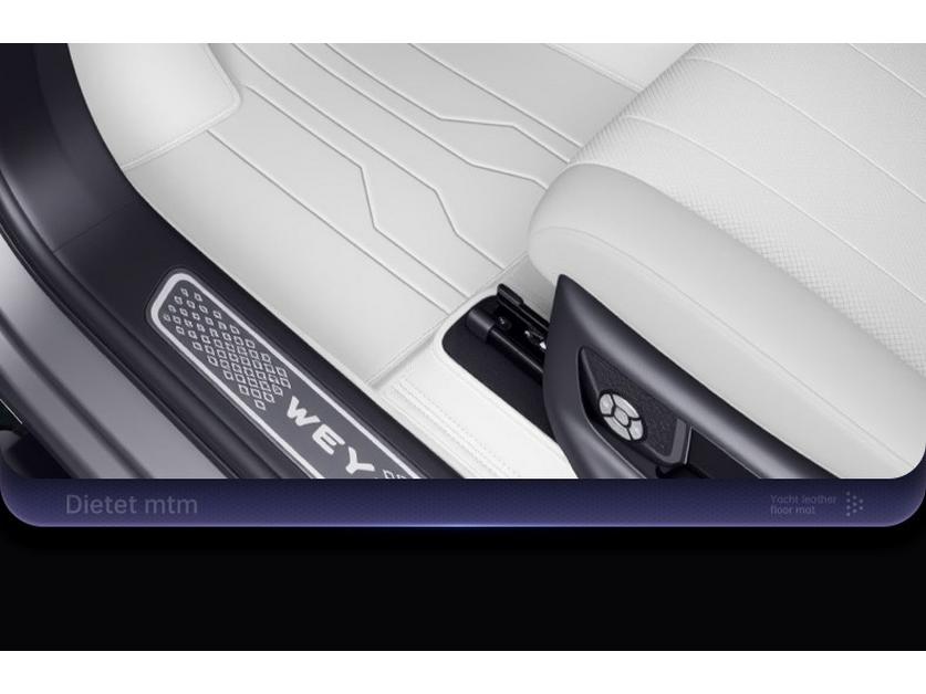 Fully Enclosed Floor and Trunk Mats for WEY Blue Mountain (Model Years 23-26) - Car Modification Accessories