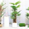 Artificial Fan Palm Tree