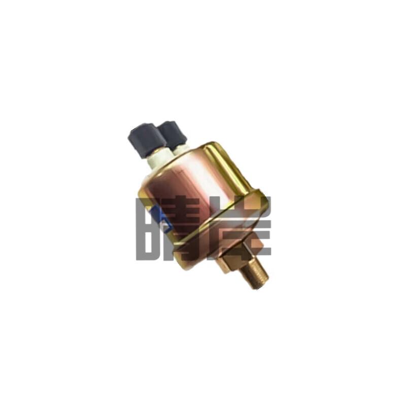 Oil Pressure Sensor for Shaanxi SX2190/SX2110 and Steyr 1192 Trucks