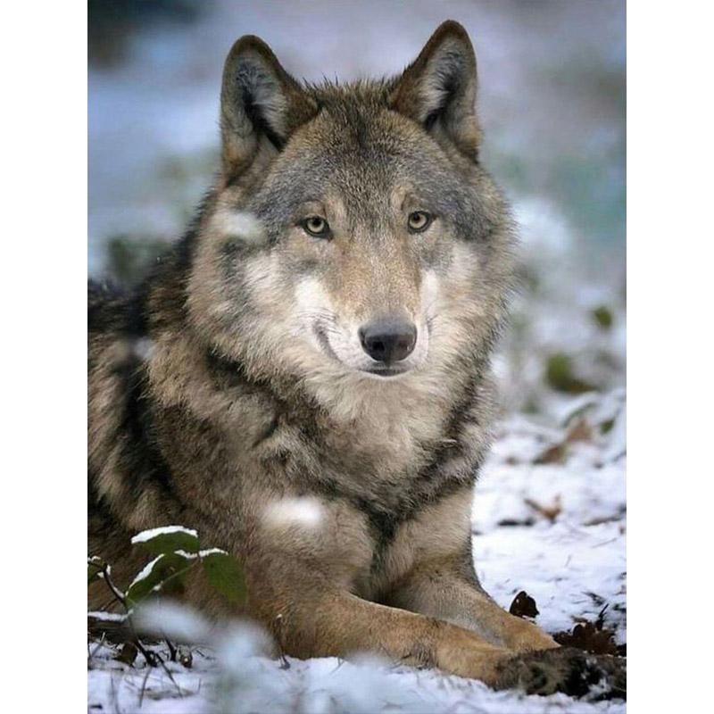 5D Diamond Painting Wolf Animal Rhinestone Picture DIY Full Diamond Embroidery Mosaic Handmade Art Painting Gift Home Decor