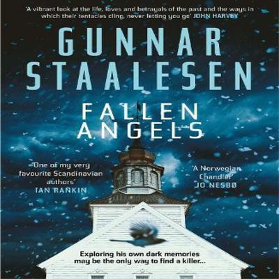 Fallen Angels by Gunnar Staalesen Paperback Book 9781913193065