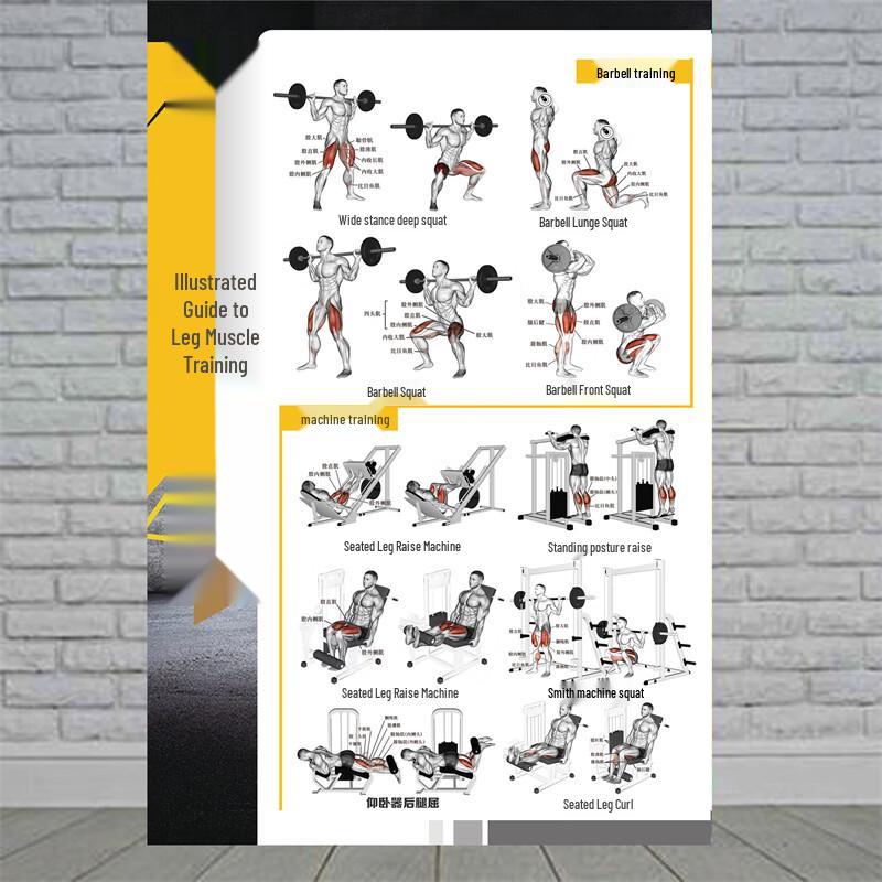 Fitness Training Pose Action Charts (PP Adhesive 40x60cm)