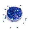 Holographic Solvent Resistant Polyester Glitter High Sparkling Extra Fine Laser Glitter for Nails Art Tumblers
