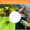 Spider Terrarium Transparent Ventilated Escape-Proof Reptile Tank Praying Mantis Breeding Box For Frog Lizard Gecko Snake Turtle