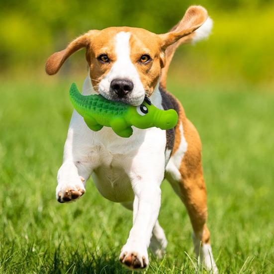 Dog Chew Toy Crocodile Shape with Sound Dental Cleaning Boredom Relief Pet Supplies Natural Latex Durable Perfect for Playtime