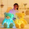 50cm Plush Led Teddy Bear With Colorful Glowing Lights For Magical Nights