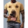 Ropa para Hombre Camiseta de Manga Corta con Cuello Redondo Estampado Digital 3D Patrón de Perro Golden Retriever Casual Chic Tops Perfectos Como Regalos
